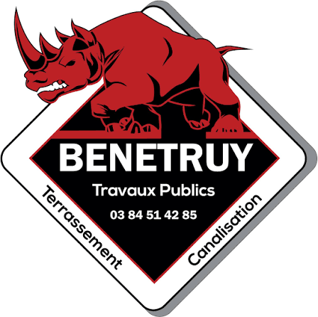 logo benetruy